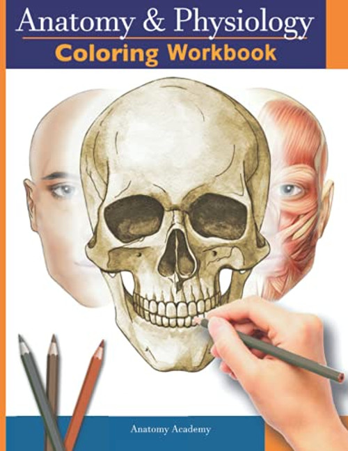 Anatomy and Physiology Coloring Workbook: The Essential College Level Study Guide | Perfect Gift for Medical School Students, Nurses and Anyone Interested in our Human Body