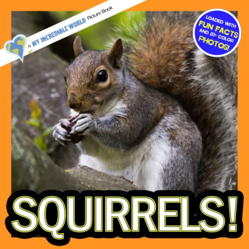 Squirrels!: A My Incredible World Picture Book (My Incredible World: Nature and Animal Picture Books for Children)