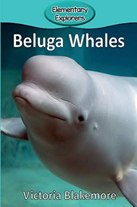 Beluga Whales (Elementary Explorers)