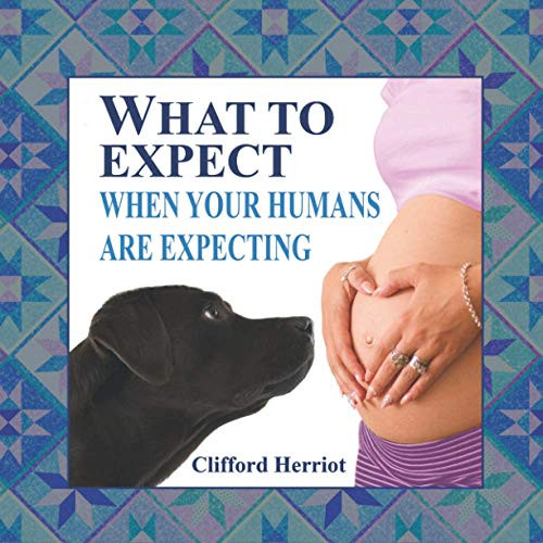 What to Expect When Your Humans are Expecting