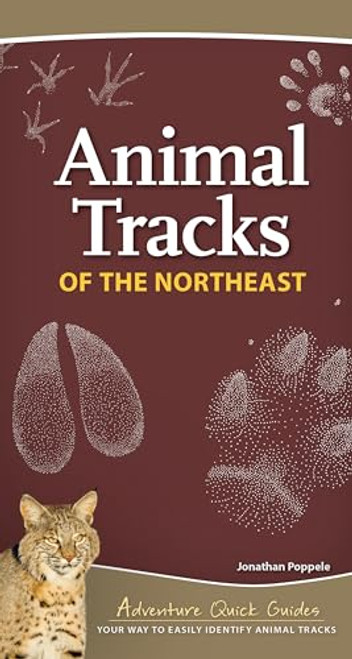 Animal Tracks of the Northeast: Your Way to Easily Identify Animal Tracks (Adventure Quick Guides)