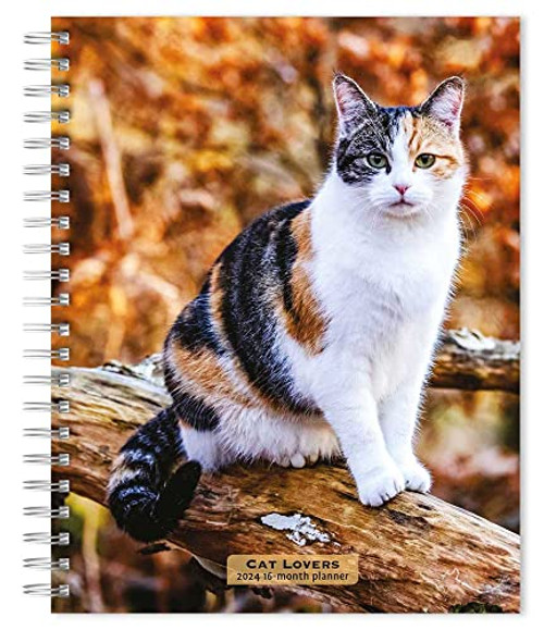 Cat Lovers | 2024 6 x 7.75 Inch Spiral-Bound Wire-O Weekly Engagement Planner Calendar | New Full-Color Image Every Week | BrownTrout | Animals Domestic Kittens Feline