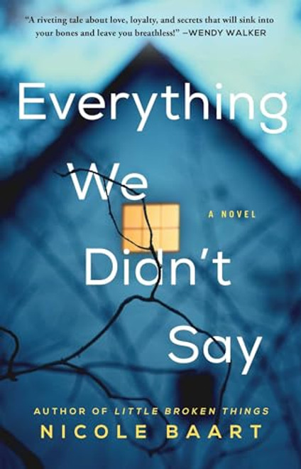 Everything We Didn't Say: A Novel