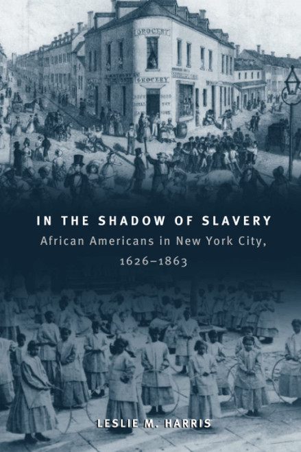 In the Shadow of Slavery: African Americans in New York City, 1626-1863 (Historical Studies of Urban America)