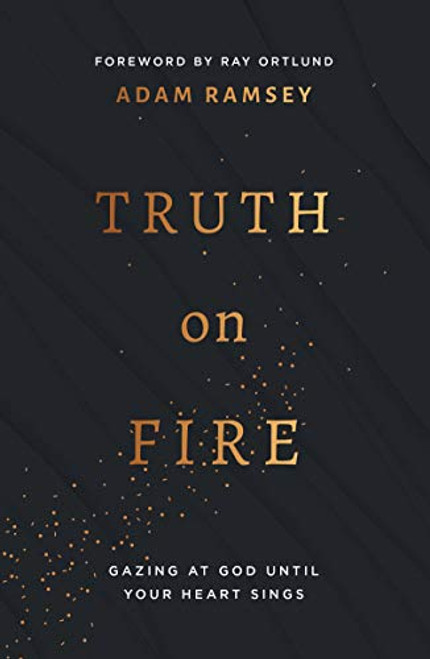 Truth On Fire: Gazing at God Until Your Heart Sings (Engage your mind and emotions in your walk with God)