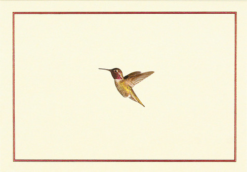 Hummingbird Flight Note Cards (Stationery, Boxed Cards)