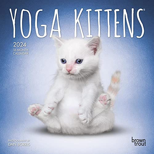 Yoga Kittens 2024 Mini 7x7 (Yoga Kittens OFFICIAL)