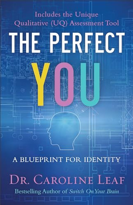 The Perfect You: A Blueprint for Identity