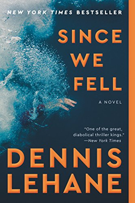 Since We Fell: A Novel