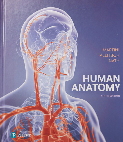 Human Anatomy