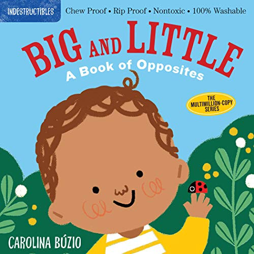 Indestructibles: Big and Little: A Book of Opposites: Chew Proof  Rip Proof  Nontoxic  100% Washable (Book for Babies, Newborn Books, Safe to Chew)