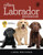 The Complete Labrador Handbook: The Essential Guide for New & Prospective Labrador Owners (Canine Handbooks)