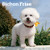 Bichon Frise | 2024 12 x 24 Inch Monthly Square Wall Calendar | BrownTrout | Animals Dog Breeds