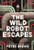 The Wild Robot Escapes (Volume 2) (The Wild Robot, 2)