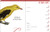 Effin' Birds 12-Month 2024 Monthly/Weekly Planner Calendar