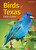 Birds of Texas Field Guide (Bird Identification Guides)