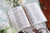NIV, Bride's Bible, Cloth over Board, Cream, Red Letter, Comfort Print
