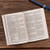 Here's Hope New Testament: Christian Standard Bible