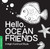 Hello, Ocean Friends: A Durable High-Contrast Black-and-White Board Book for Newborns and Babies (High-Contrast Books)