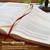 The Spiritual Growth Bible, Study Bible, NLT - New Living Translation Holy Bible, Faux Leather, Pink