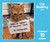 Cat Shaming 2024 Day-to-Day Calendar