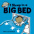 I Sleep in a Big Bed: (Milestone Books for Kids, Big Kid Books for Young Readers (Big Kid Power)