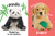 Adorable Animals - Touch and Feel Board Book - Sensory Board Book