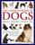 The Complete Book of Dogs: Breeds, Training, Health Care: A Comprehensive Encyclopedia Of Dogs With A Fully Illustrated Guide To 230 Breeds And Over 1500 Photographs