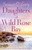 Daughters of Wild Rose Bay: A completely heart-warming and gripping Irish romance (Sandy Cove)