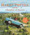 HARRY POTTER AND THE CHAMBER OF SECRETS ILLUSTRATED EDITION