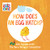 How Does an Egg Hatch?: Life Cycles with The Very Hungry Caterpillar (The World of Eric Carle)