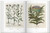 Basilius Beslers Florilegium. The Book of Plants (Bibliotheca Universalis)