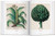 Basilius Beslers Florilegium. The Book of Plants (Bibliotheca Universalis)