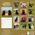 Labrador Calendar - Dog Breed Calendars - Chocolate Lab Calendar - Black Lab Calendar - Yellow Lab Calendar - 2023 - 2024 wall calendars by Avonside