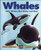 Whales: Killer Whales, Blue Whales and More (Kids Can Press Wildlife Series)