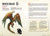 Beasts & Behemoths (Dungeons & Dragons): A Young Adventurer's Guide (Dungeons & Dragons Young Adventurer's Guides)