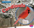 Cardinals (Backyard Birds)