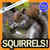 Squirrels!: A My Incredible World Picture Book (My Incredible World: Nature and Animal Picture Books for Children)