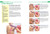 Kinesiology Taping The Essential Step-By-Step Guid: Taping for Sports, Fitness and Daily Life - 160 Conditions and Ailments