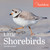 Audubon Little Shorebirds Mini Wall Calendar 2024: A Tribute to the Diversity of Shorebirds and the Fragile Ecosystems they Inhabit