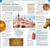 DK Eyewitness Top 10 Venice (Pocket Travel Guide)
