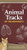 Animal Tracks of the Northeast: Your Way to Easily Identify Animal Tracks (Adventure Quick Guides)