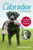 The Labrador Handbook: Your Definitive Guide to Care and Training