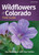 Wildflowers of Colorado Field Guide (Wildflower Identification Guides)