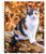 Cat Lovers | 2024 6 x 7.75 Inch Spiral-Bound Wire-O Weekly Engagement Planner Calendar | New Full-Color Image Every Week | BrownTrout | Animals Domestic Kittens Feline
