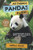 All Things Pandas For Kids: Filled With Plenty of Facts, Photos, and Fun to Learn all About Pandas