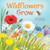 Wildflowers Grow (Little Nature Explorers)