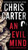 An Evil Mind (1) (A Robert Hunter Thriller)