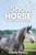 The Show Horse - Book 2 in the Connemara Horse Adventure Series for Kids | The Perfect Gift for Children age 8-12 (Connemara Adventures)
