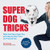 Super Dog Tricks: Make Your Dog a Super Dog with Step by Step Tricks and Training Tips - As Seen on Americas Got Talent!